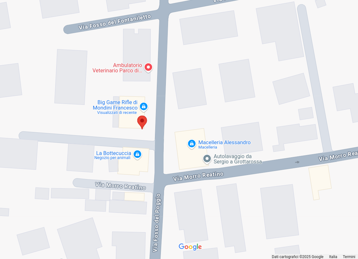 Clicca per ingrandire